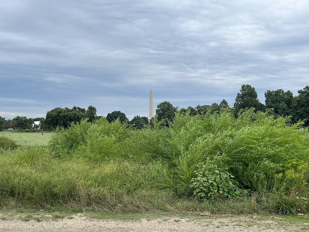 The Washington Monument seen across a fairway at East Potomac Golf Links in Washington, D.C.