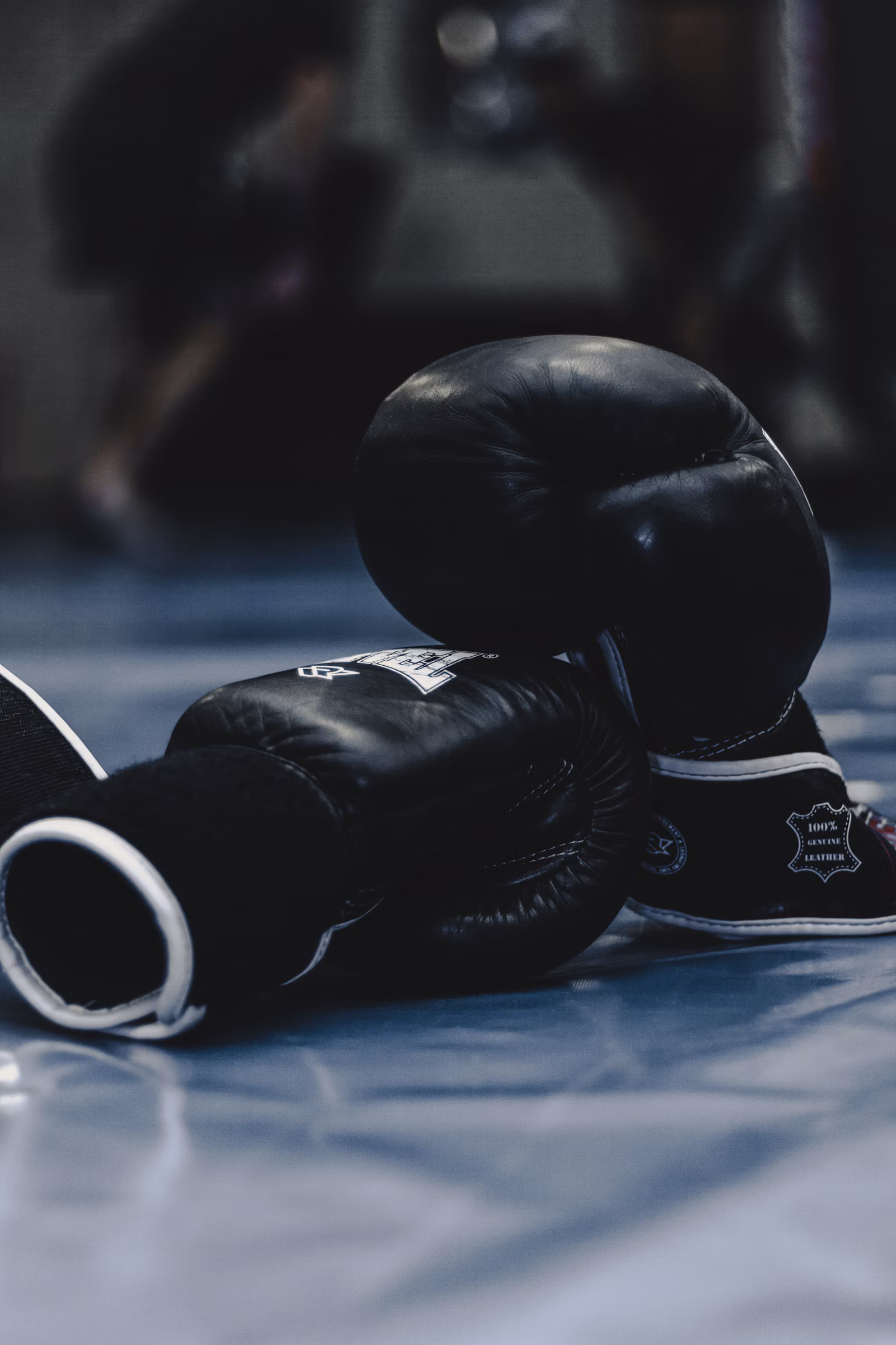 Combat sports gloves under arena lights