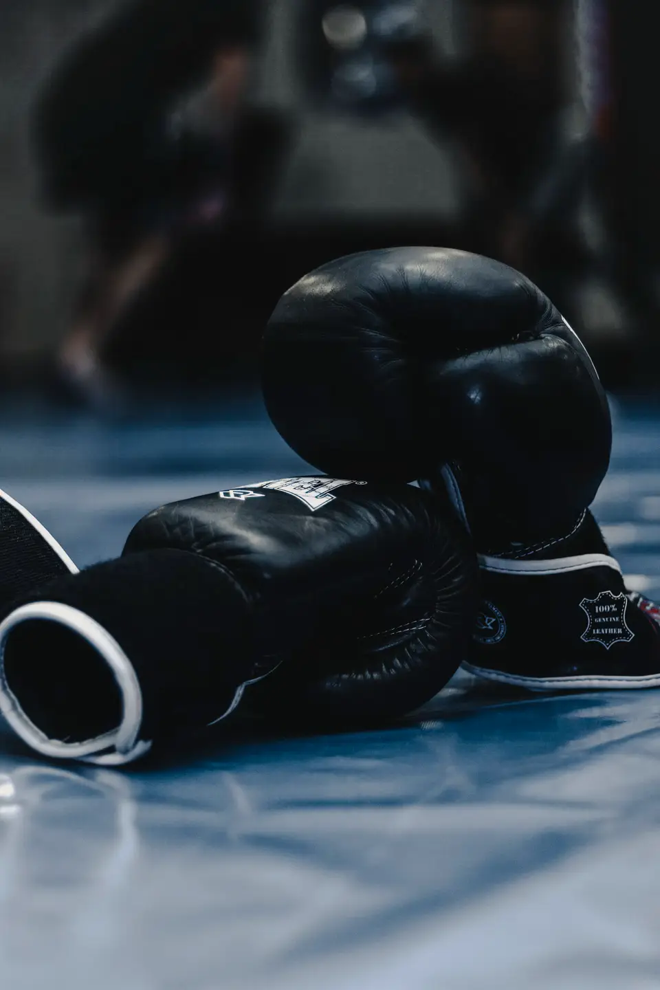 Boxing gloves and ring lights representing Brand Risk 16