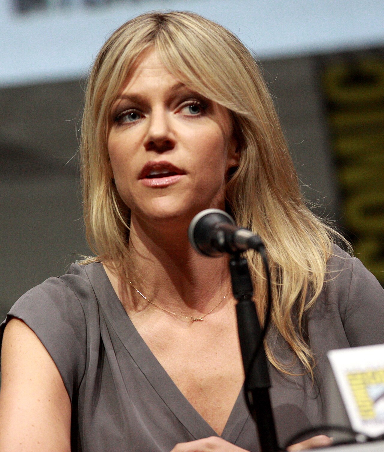 File photo of High Potential star Kaitlin Olson speaking at San Diego Comic-Con in 2013