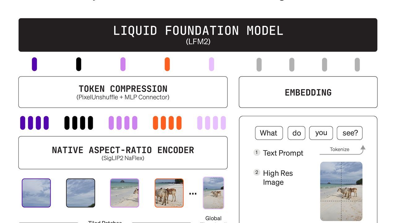 A Liquid AI architecture diagram shows how text and image inputs flow through a compact multimodal model.