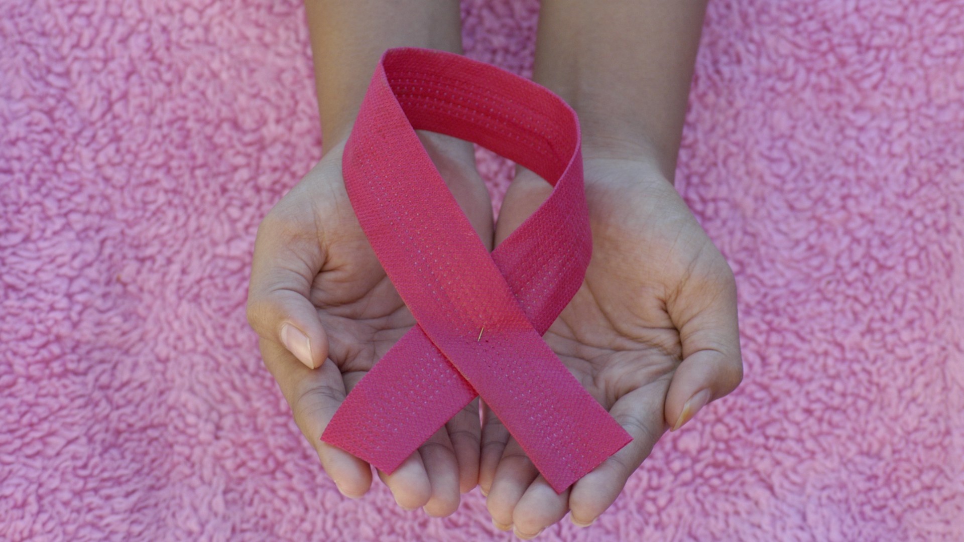 Hands hold a pink breast-cancer awareness ribbon; illustrative image, not Anika Rashaun